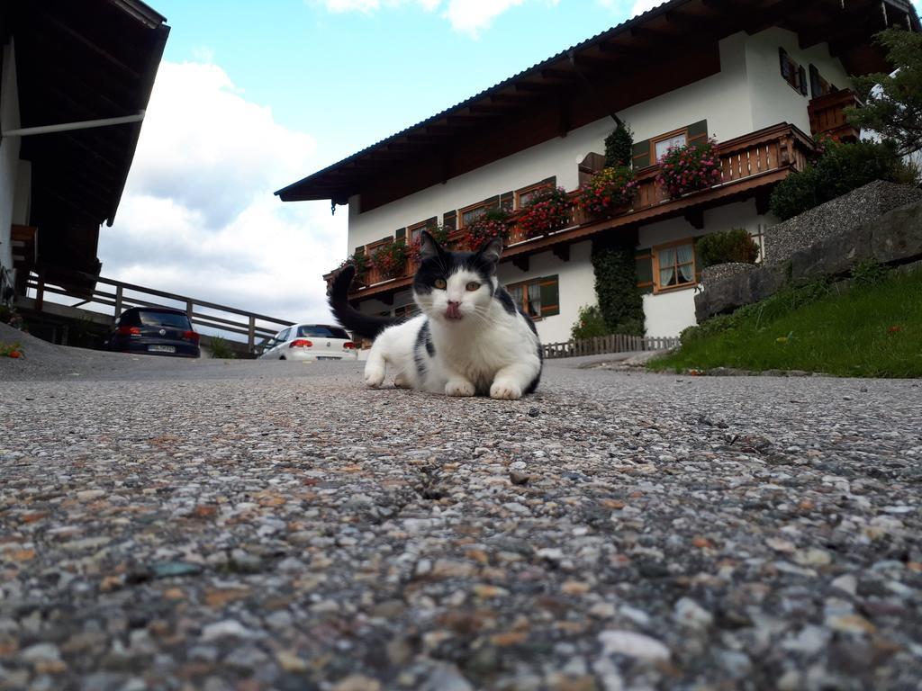 Gaestehaus Pfnuerlehen Berchtesgaden Esterno foto